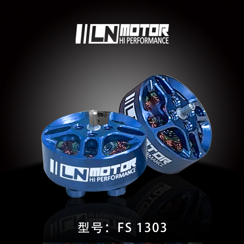 FS1303.5 Motor