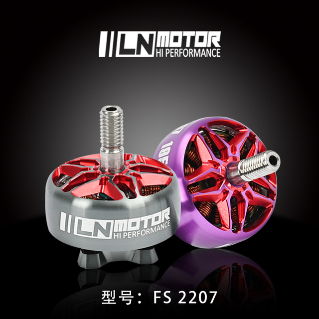 FS2207-Motor